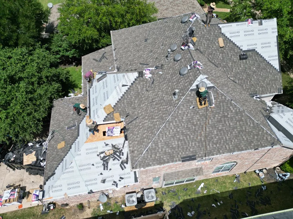 Slide of Beyond Shingles