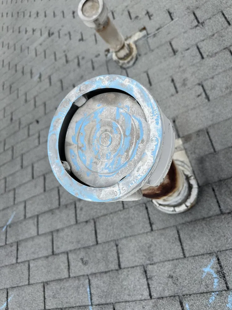 Slide of Beyond Shingles