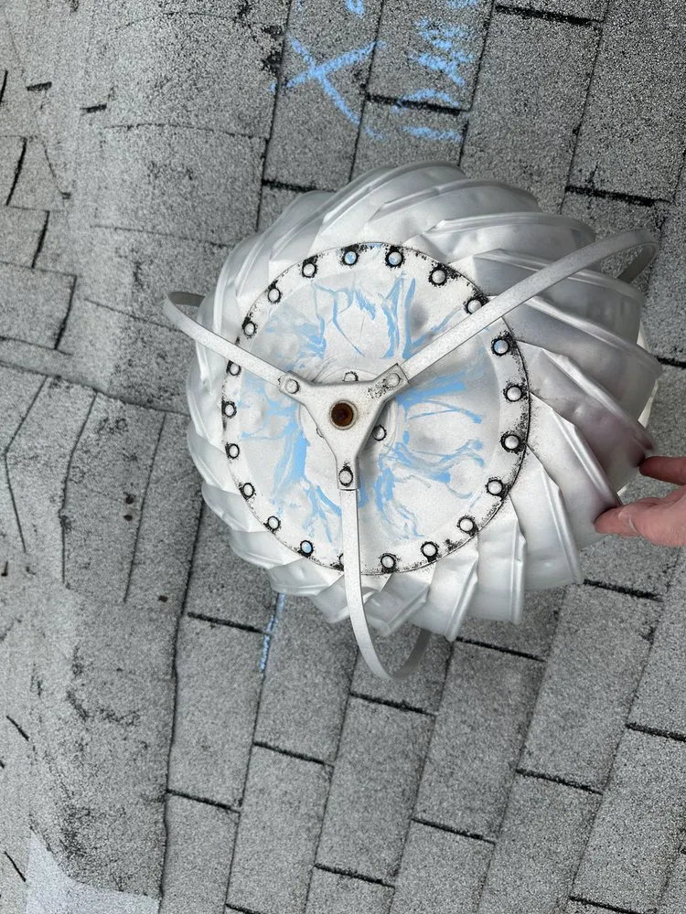 Slide of Beyond Shingles