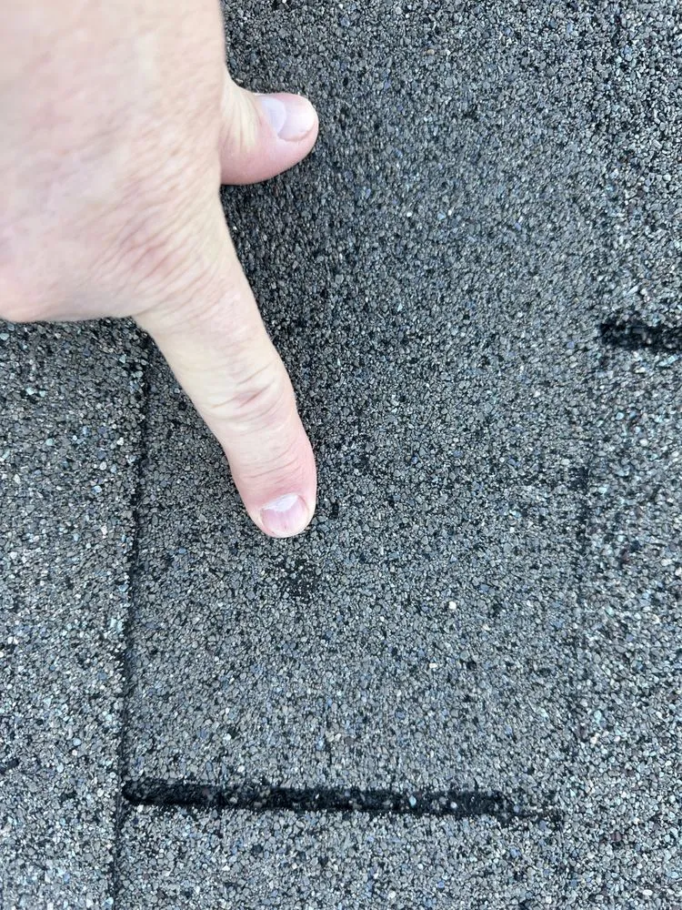 Slide of Beyond Shingles