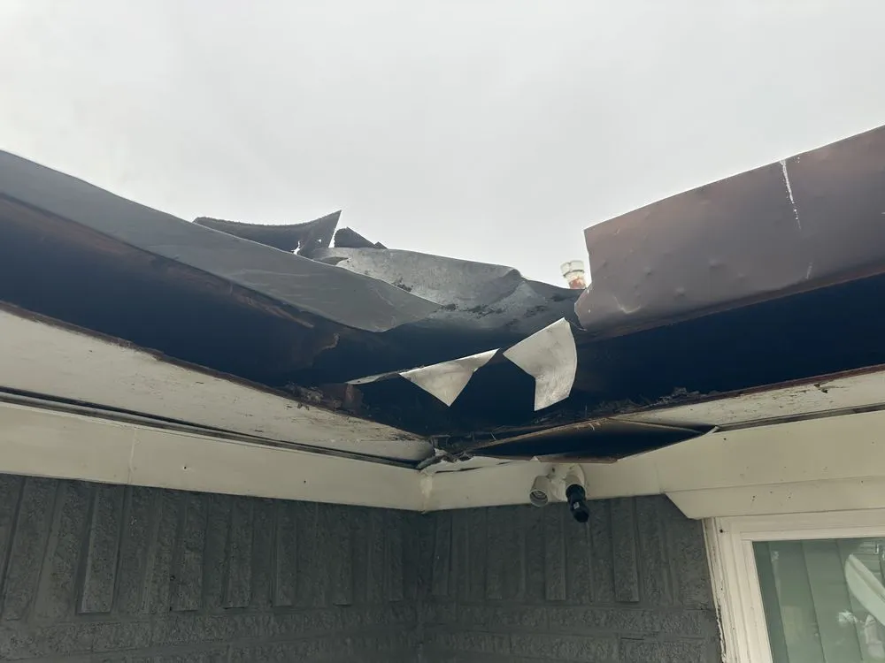 Slide of Beyond Shingles