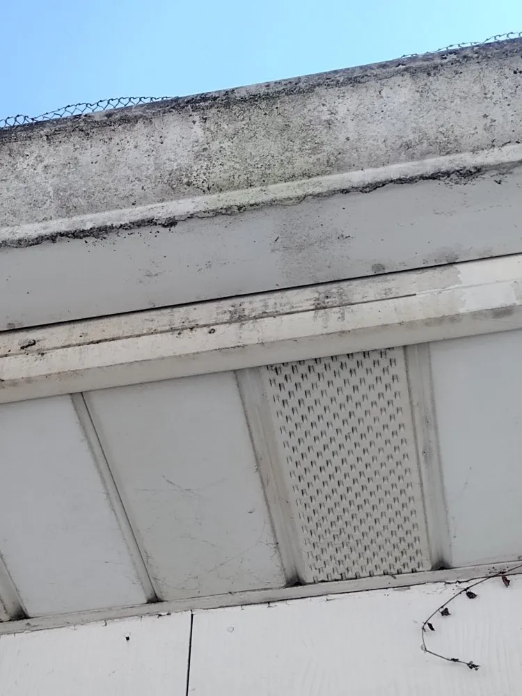 Licensed flat roof repair same-day service in Adrian, PA by BG Services