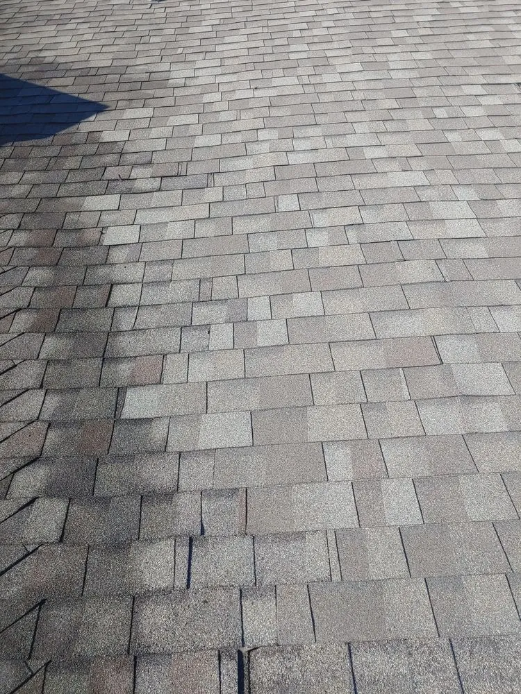 Slide of Bichon Roofing and General Contracting