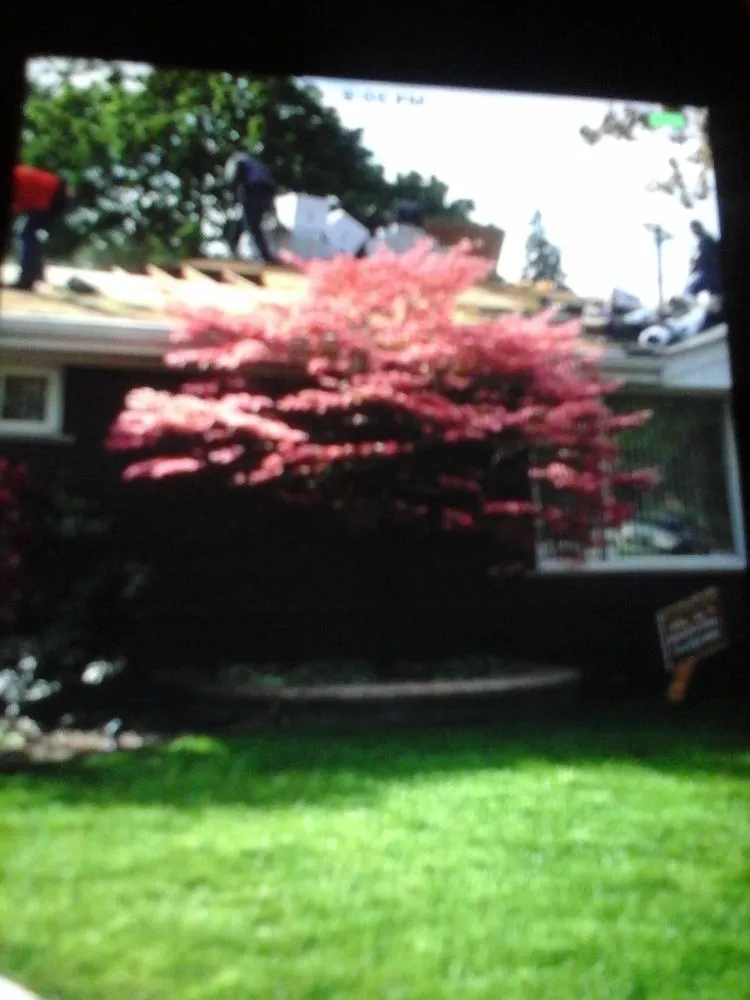 Slide of Big Al's Roofing