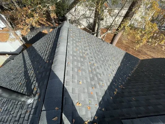 Big Bear Roofing