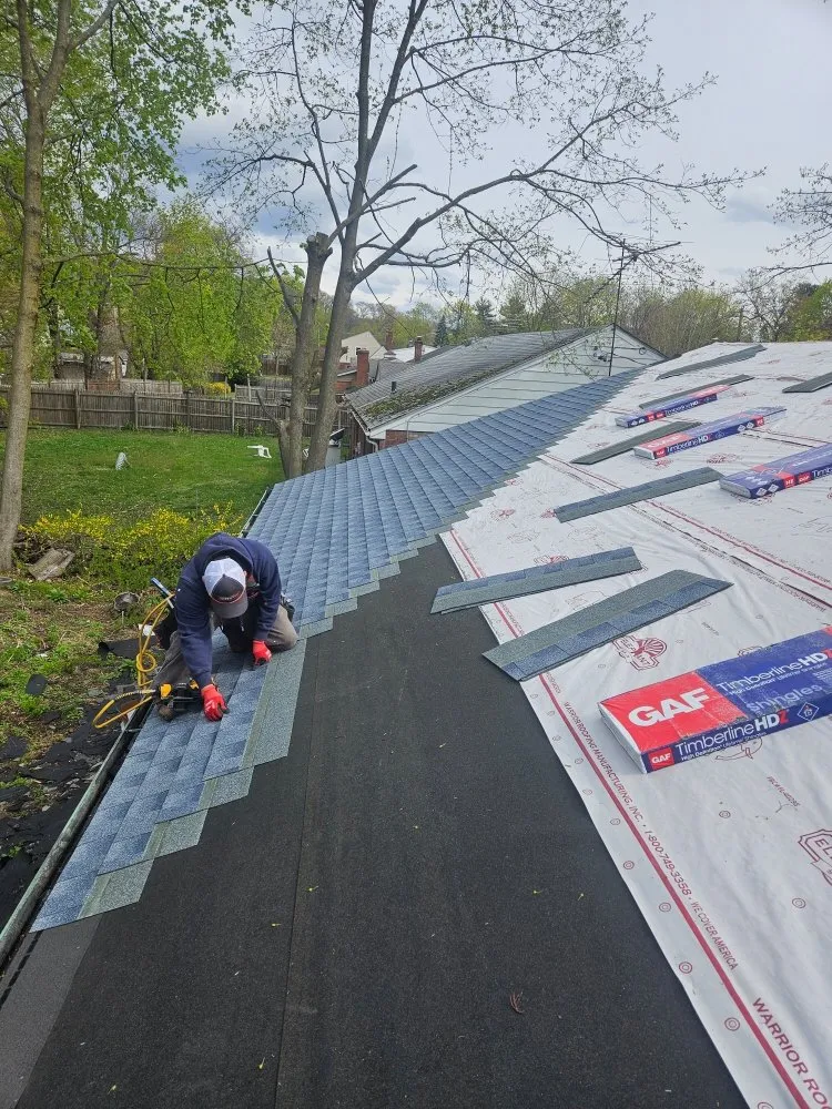 Slide of Big Brother's & El Kousin