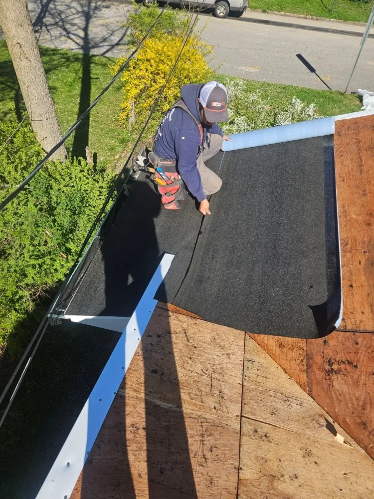 Slide of Big Brother's & El Kousin