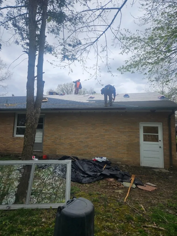 Slide of Big Brother's & El Kousin