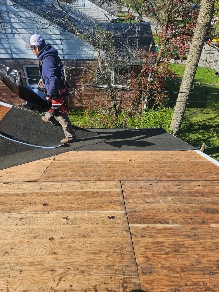 Slide of Big Brother's & El Kousin