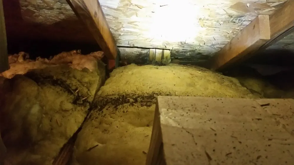 Slide of Big C Restoration & Roofing