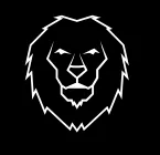 Slide of Big Cat Roofing