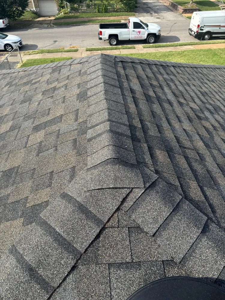 Slide of Big Cat Roofing