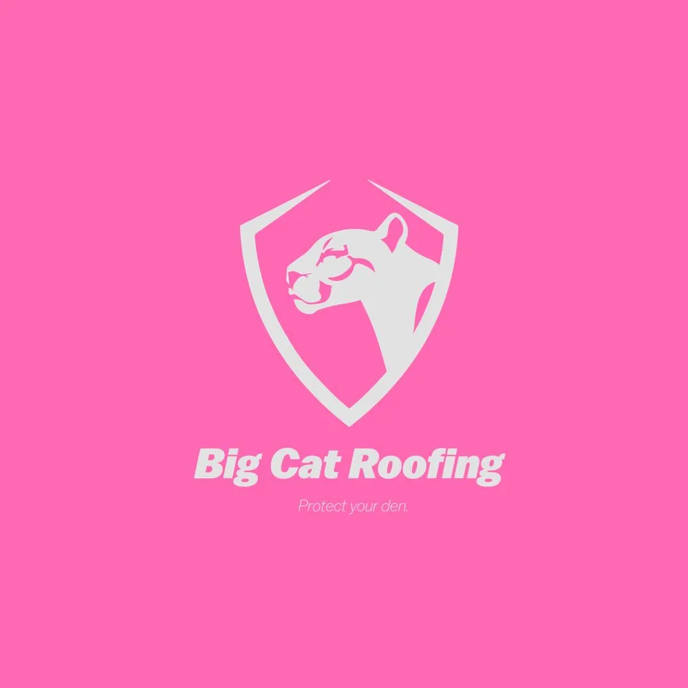 Slide of Big Cat Roofing