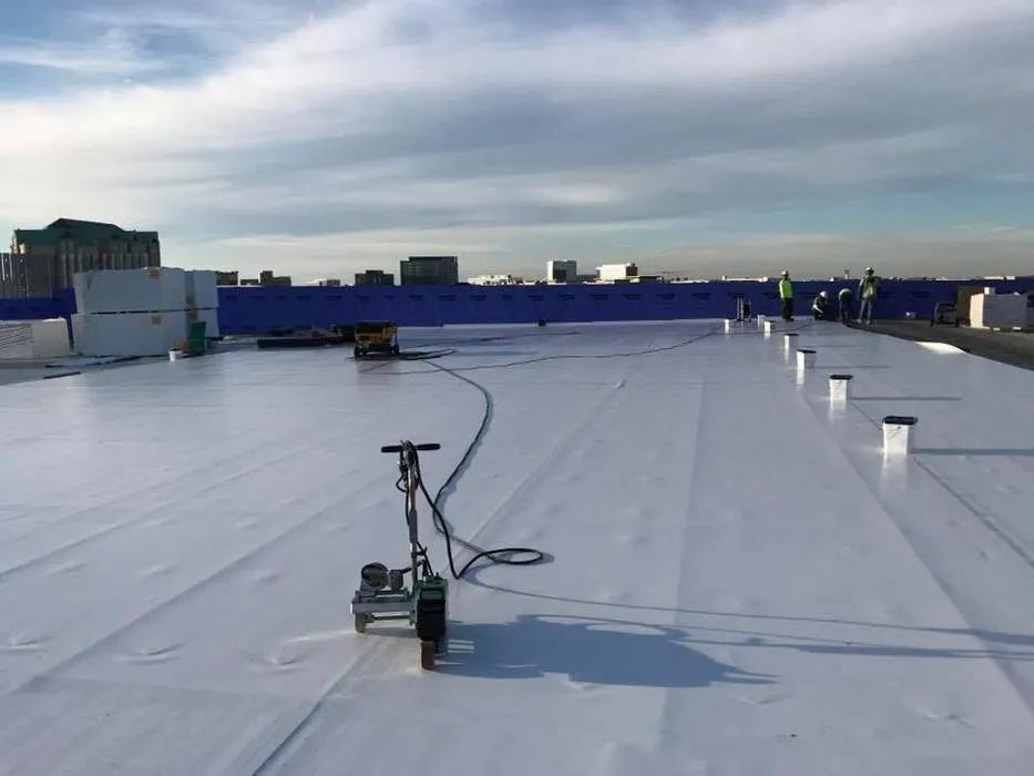 Slide of Big D Waterproofing & Roofing