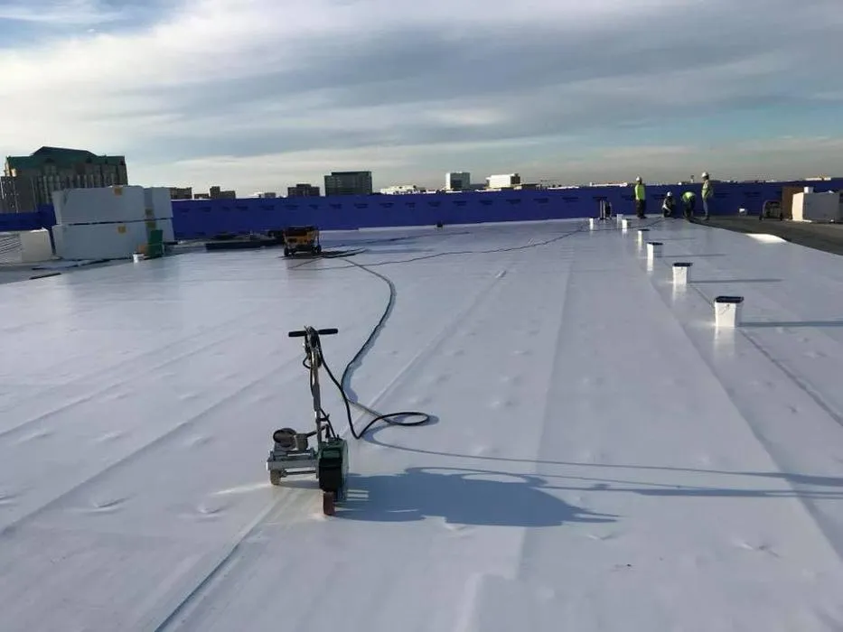 Slide of Big D Waterproofing & Roofing