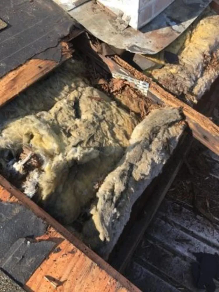 Slide of Big Dog Roofing & Construction