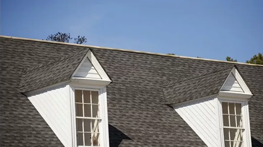 Slide of Big Ikes Roofing