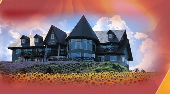 Slide of Big Ike's Roofing