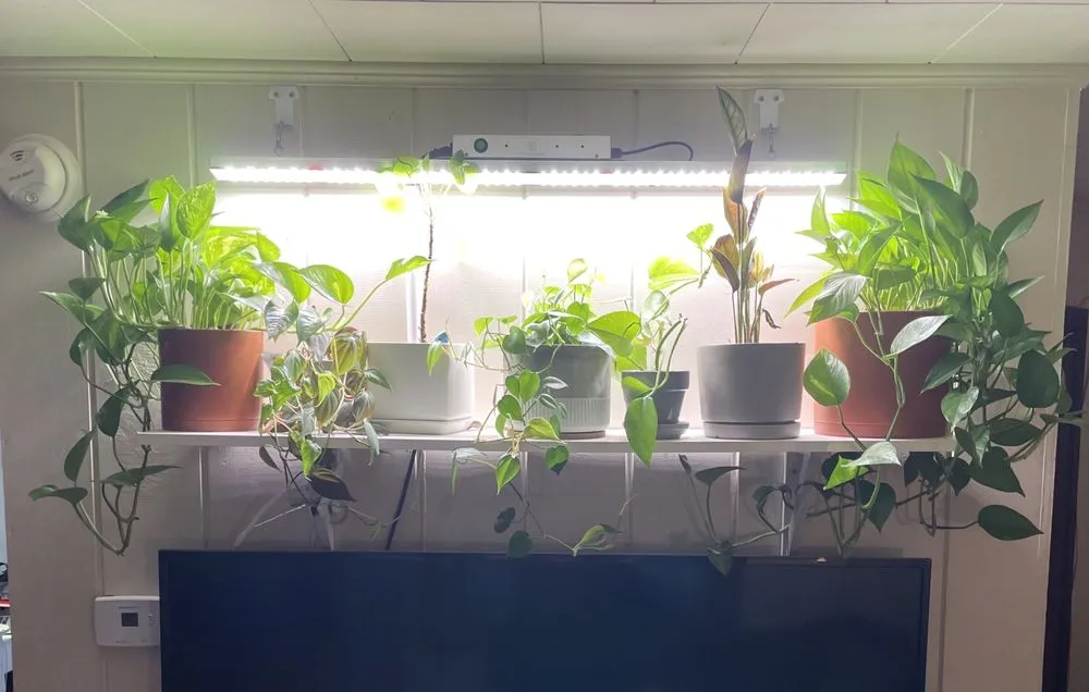 Slide of Big Iron Handyman