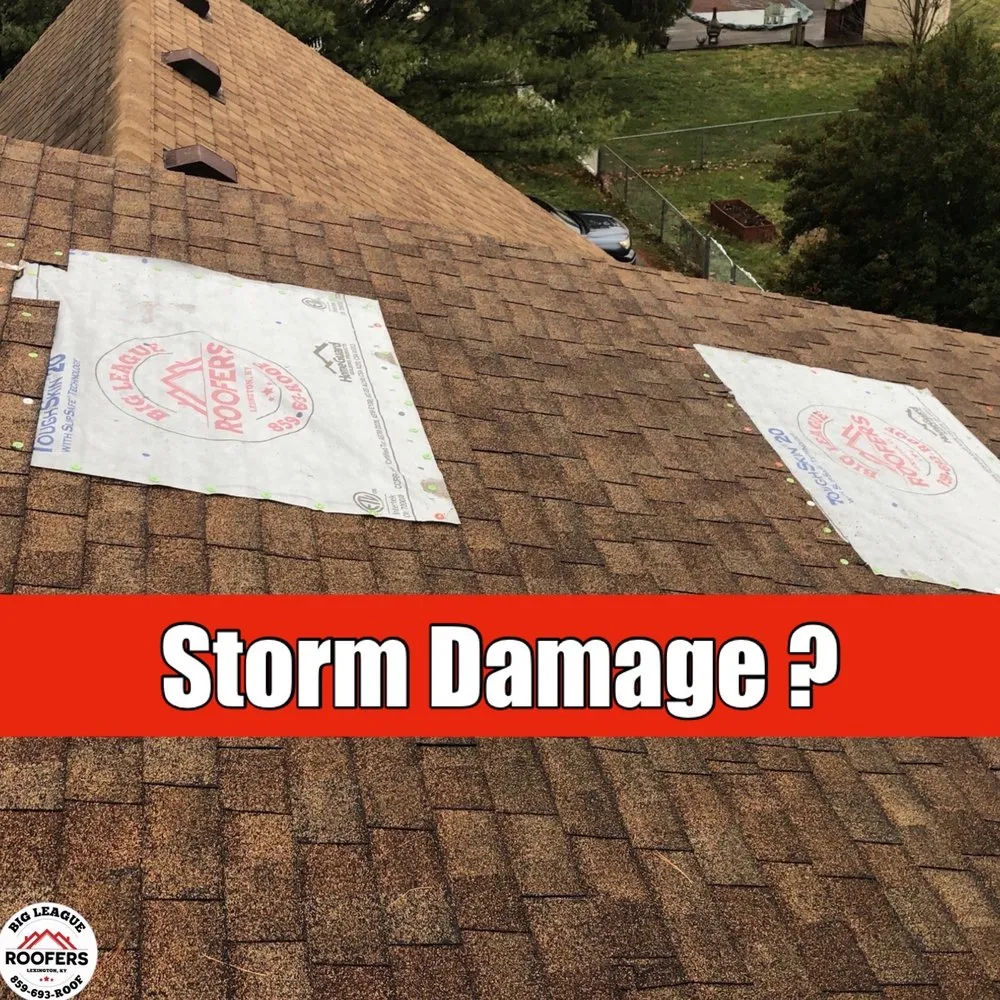 Slide of Big League Roofers