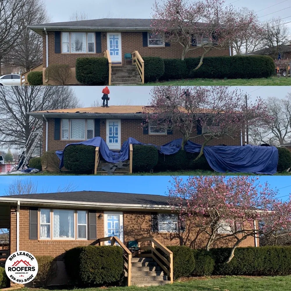 Slide of Big League Roofers