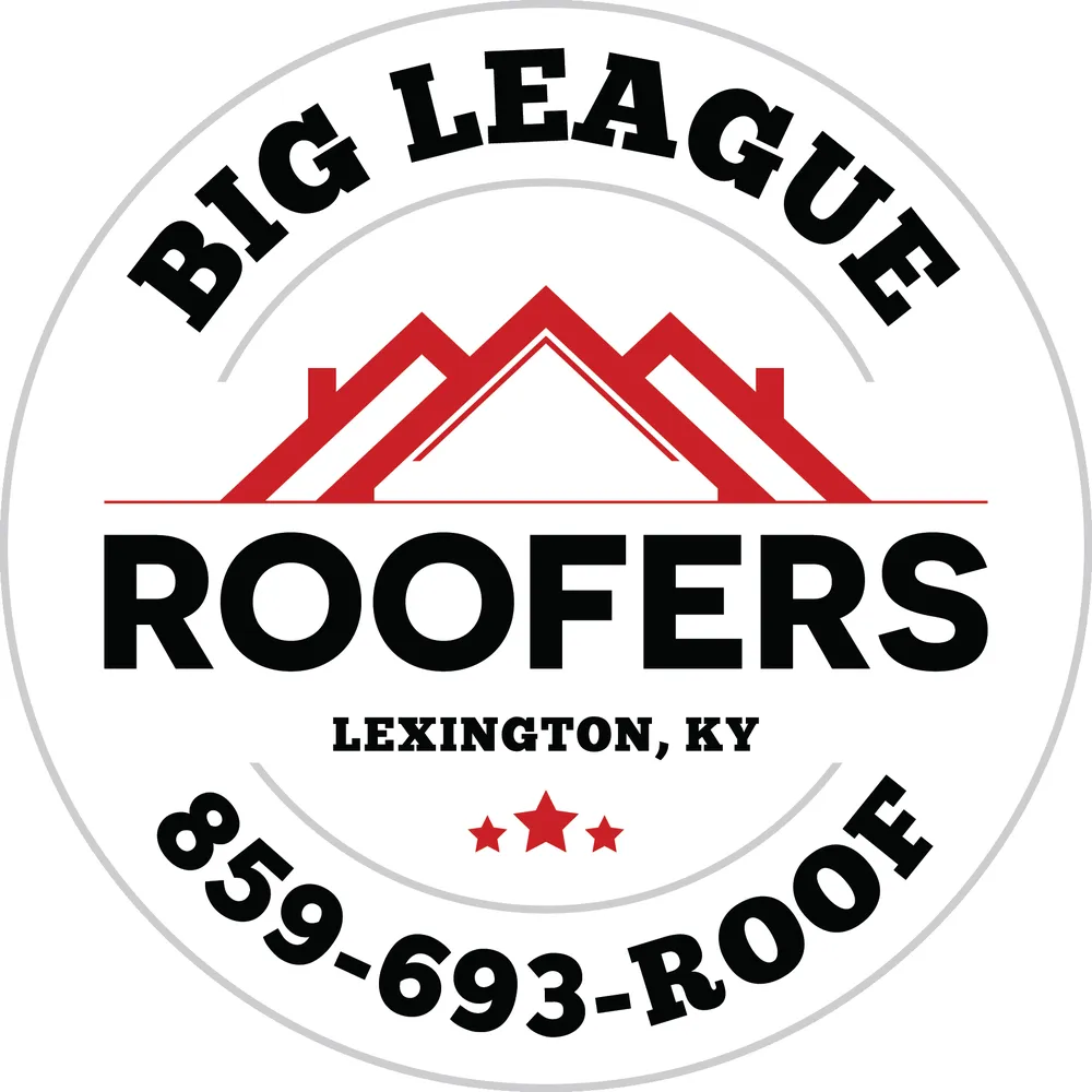 Slide of Big League Roofers
