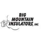 Slide of Big Mountain Insulators