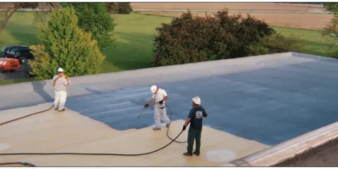 Slide of Big Mountain Insulators