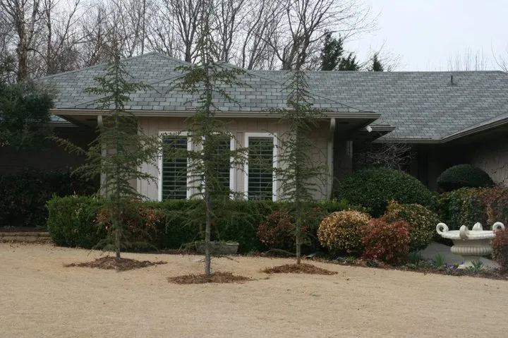 Slide of Big Sky Roofing