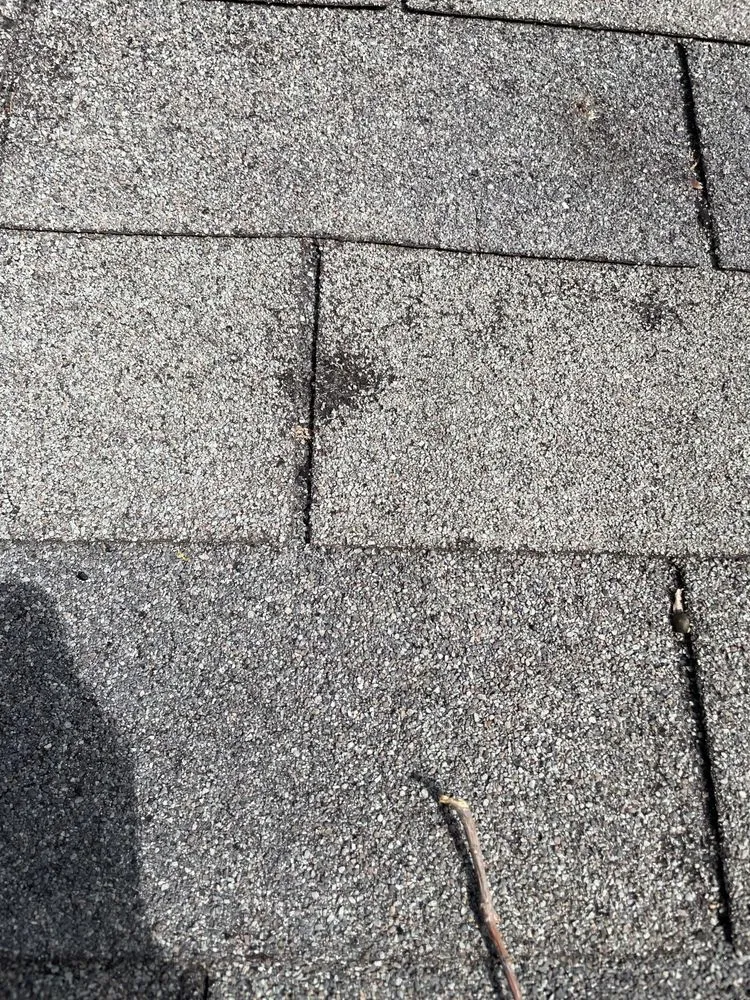 Slide of Big State Roofing & Restoration