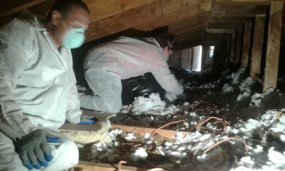 Slide of Big T Construcion