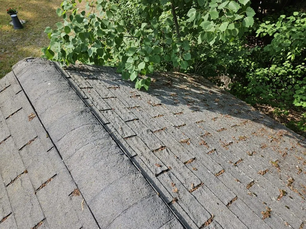 Slide of Big Top Roofing