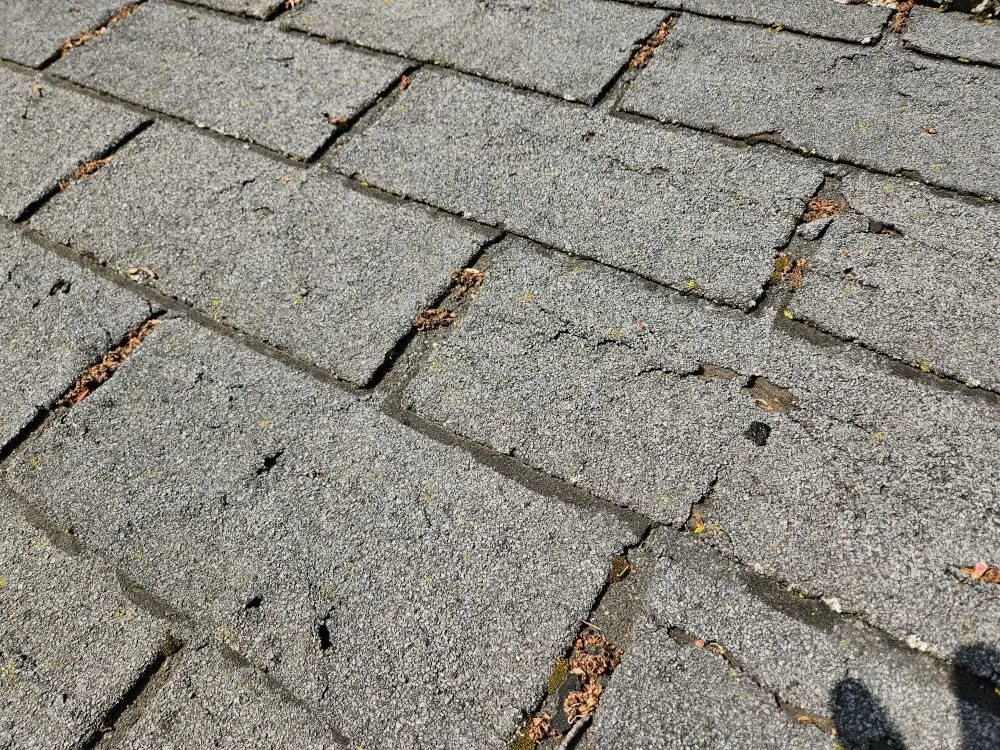 Slide of Big Top Roofing