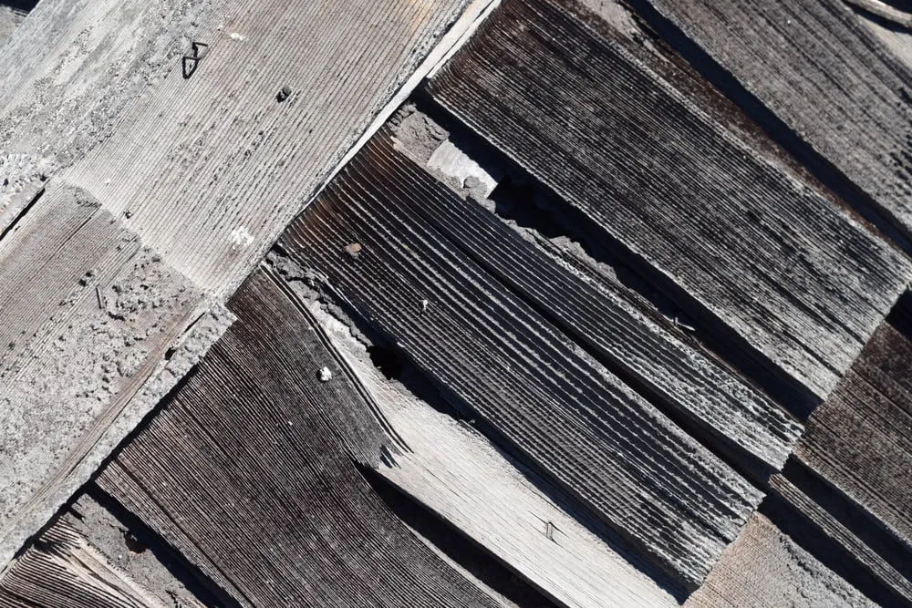 Slide of Big Tree Roofing and Inspections