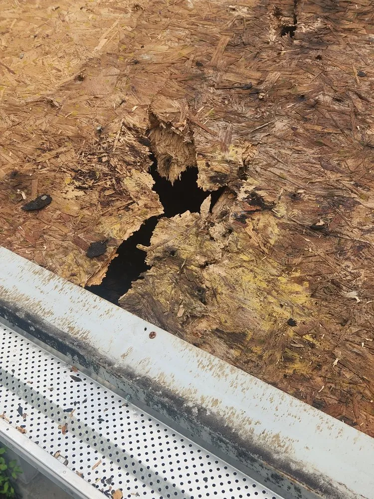 Slide of Bigo Construction