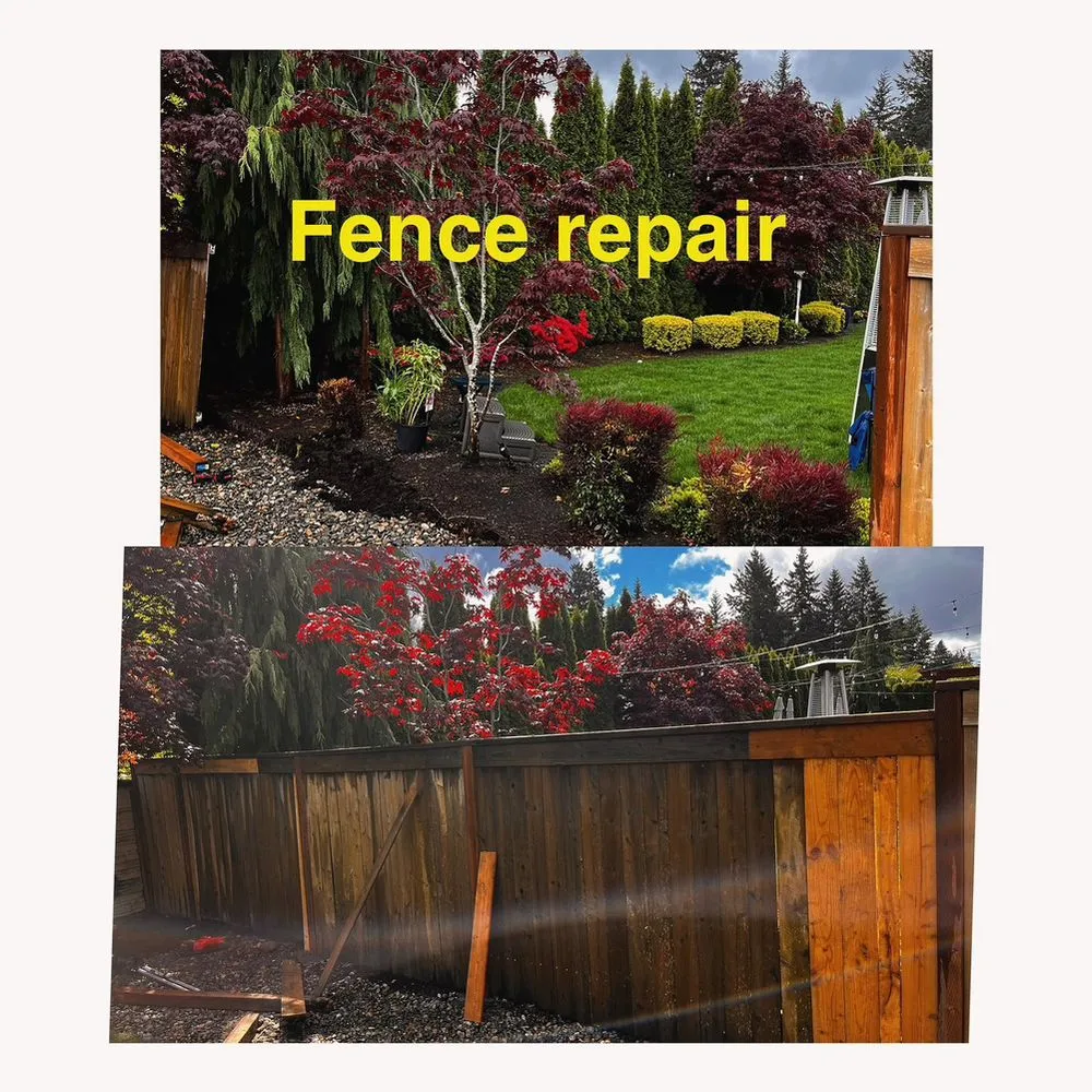 Slide of Bilenkyi Services