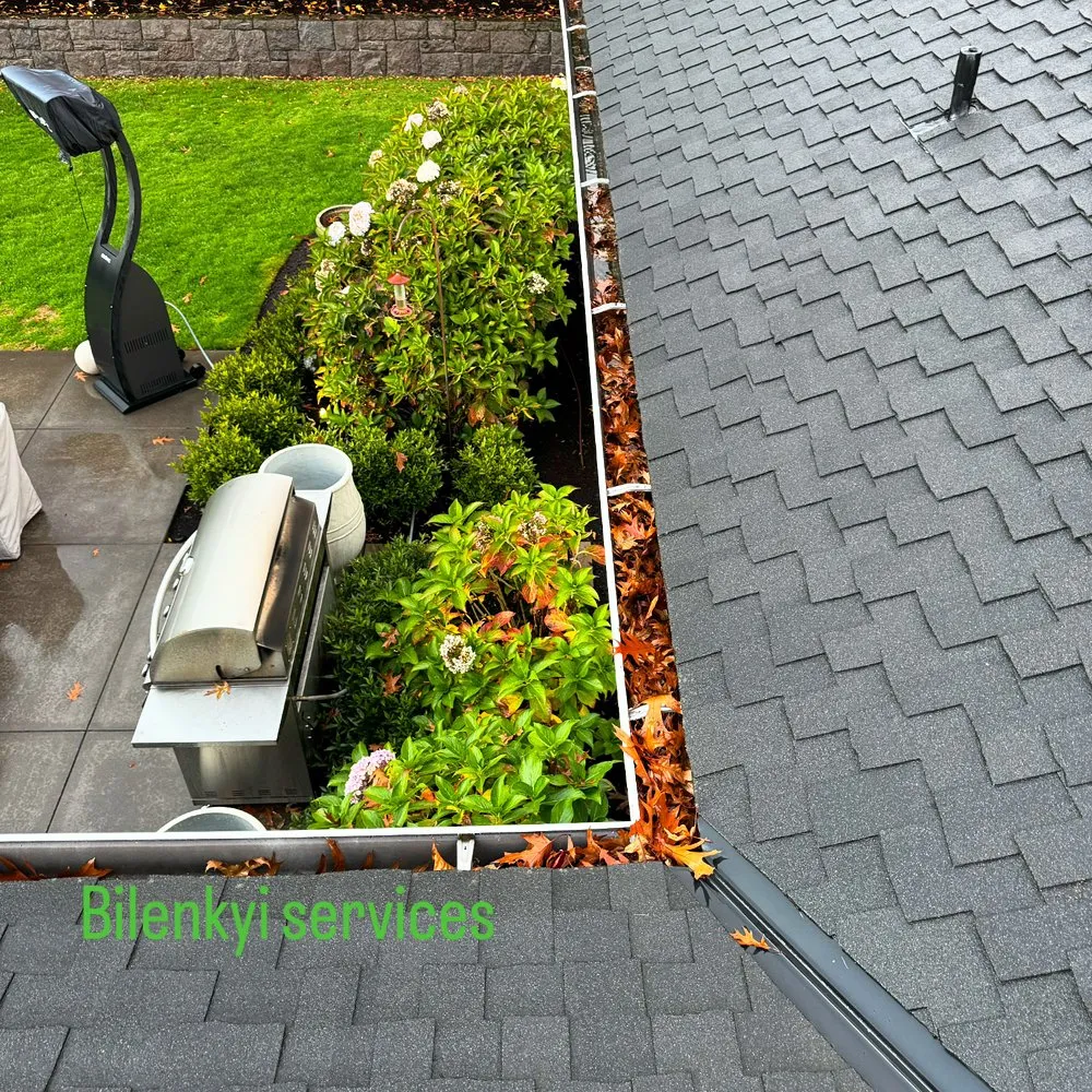 Slide of Bilenkyi Services