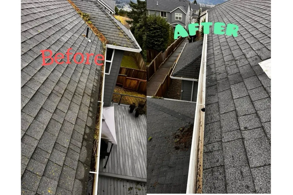 Slide of Bilenkyi Services