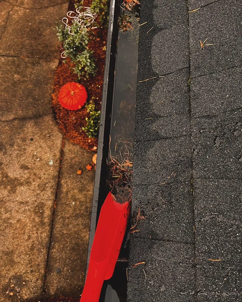 Slide of Bilenkyi Services