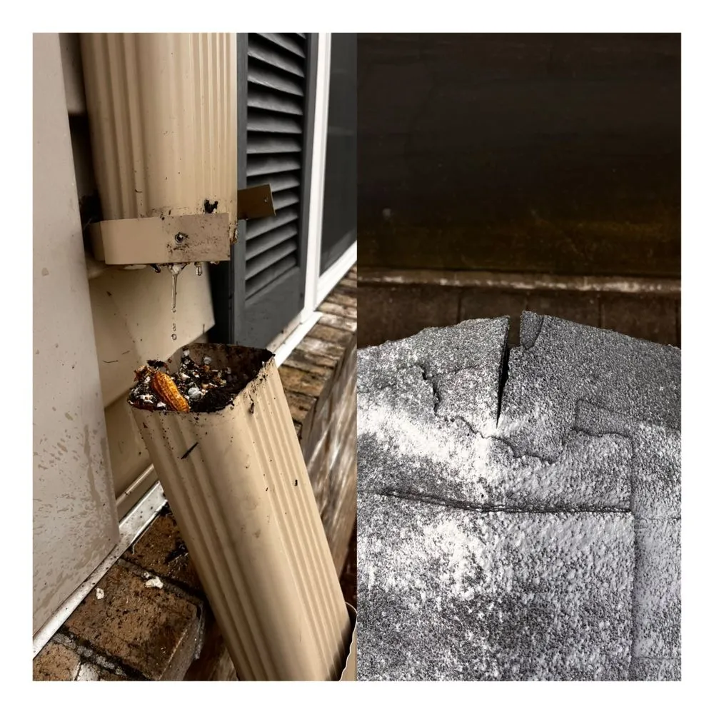 Slide of Bilenkyi Services