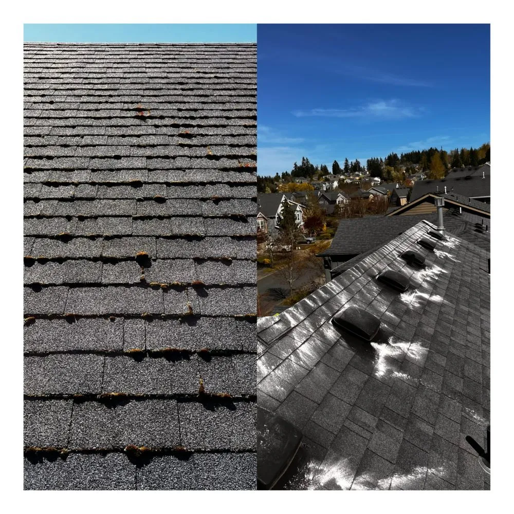 Slide of Bilenkyi Services