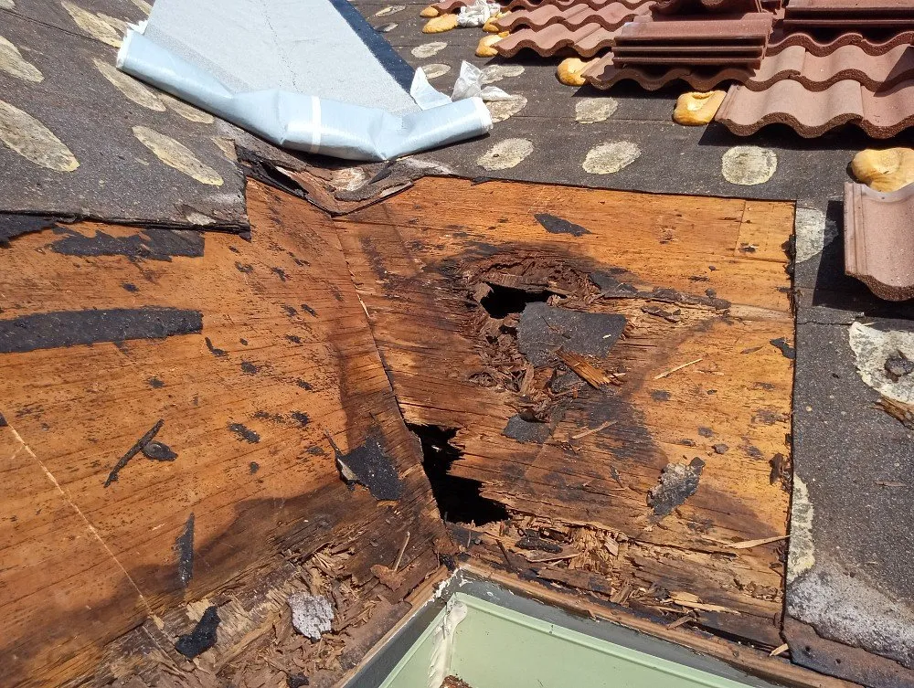 Slide of Bill & Nate's Roofing