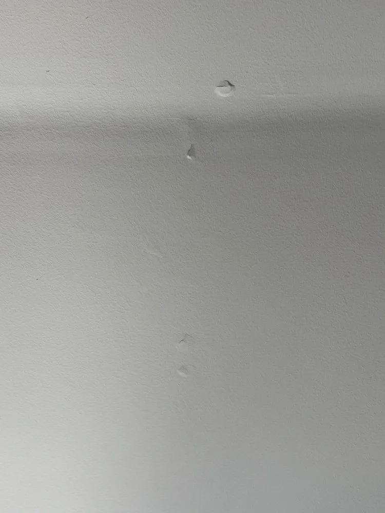 Slide of Bill Hamilton Roofing