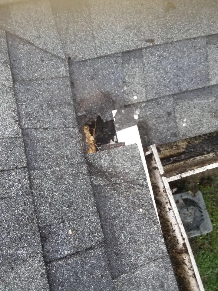 Slide of Bill's Home Improvement