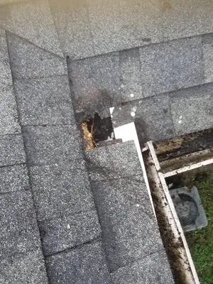 Bill's Home Improvement