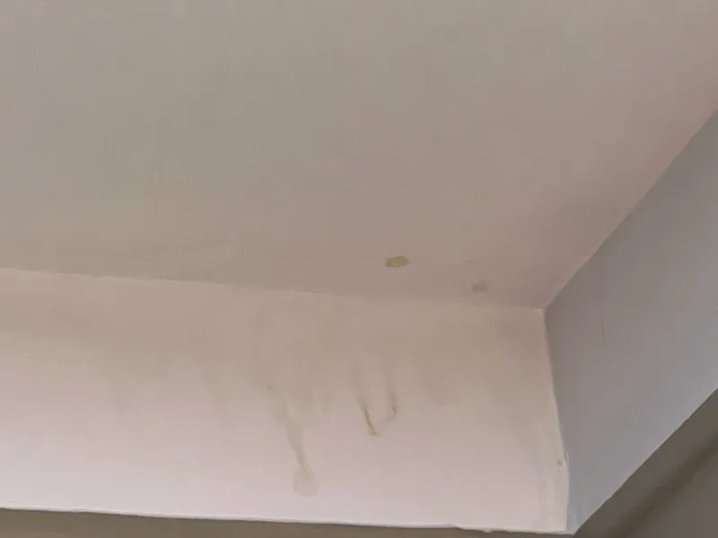 Slide of Billy's Roofing