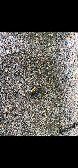 Slide of Billy's Roofing