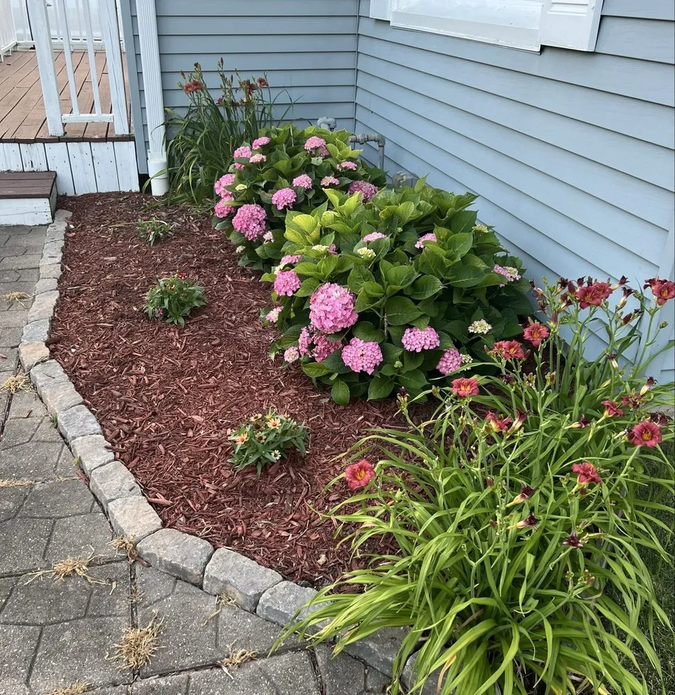 Slide of Bing’s Construction