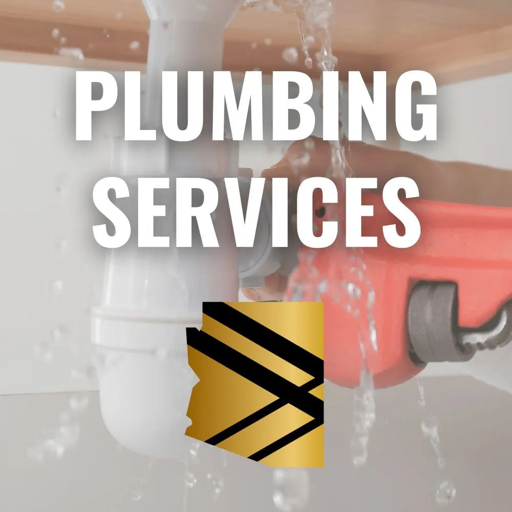 Slide of BINSR Buddies