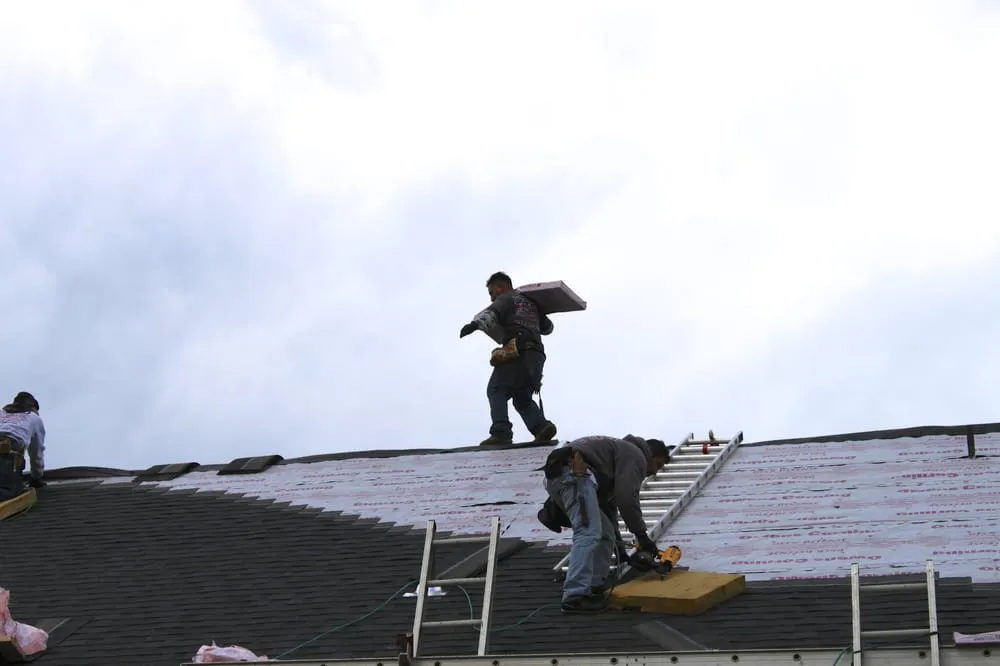 Slide of Biondo Contracting